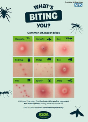 Asda reveals the nations biggest insect bite myths.jpg